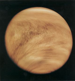 Venus in 1979