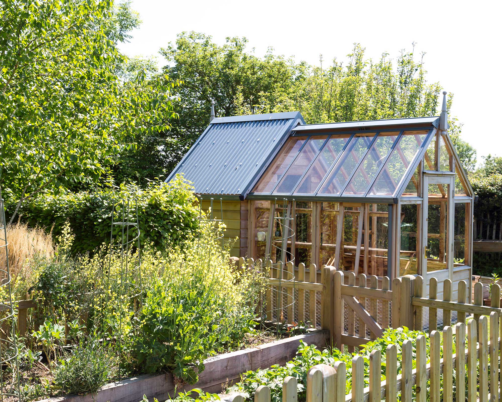 Gabriel Ash greenhouse and shed combined