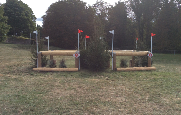 Blenheim Fences 2018