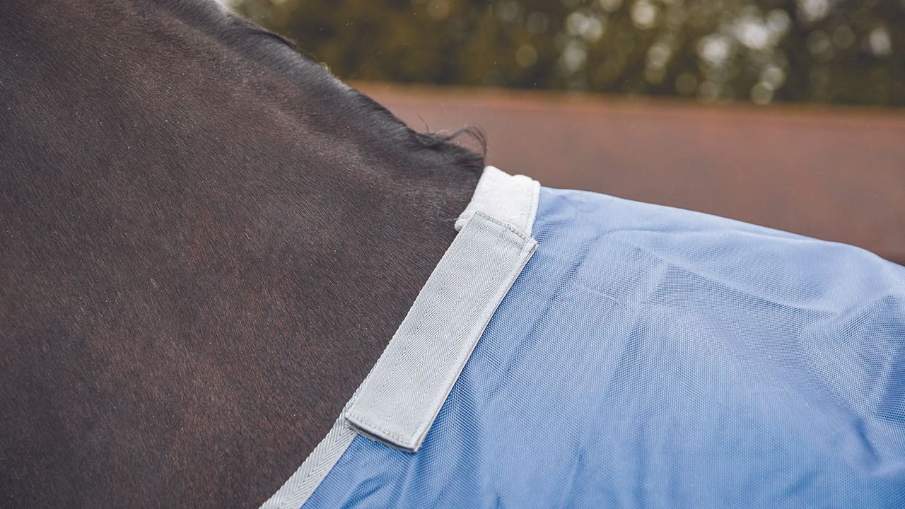 Derby House Elite detach-a-neck turnout review