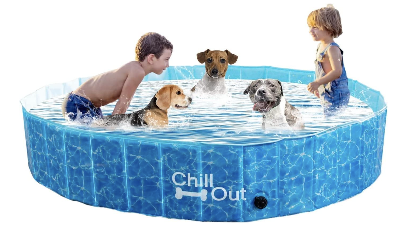 All For Paws pool with kids and dogs playing