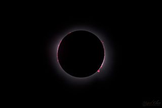 a large, central black disc in a black scape is circled in a faint white light, accented with tiny, fiery pink prominences jetting from the edge.
