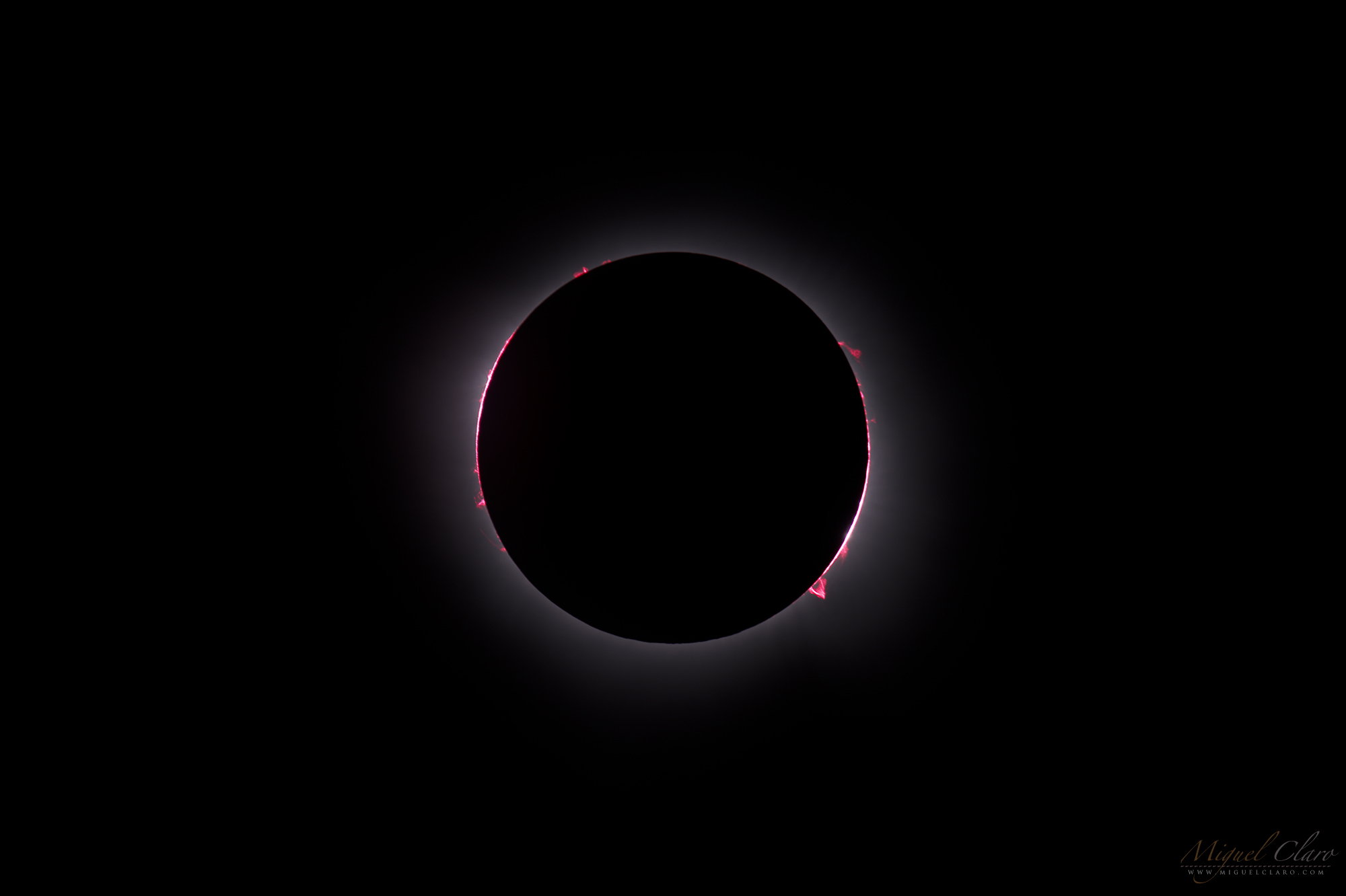 a large, central black disc in a black scape is circled in a faint white light, accented with tiny, fiery pink prominences jetting from the edge.