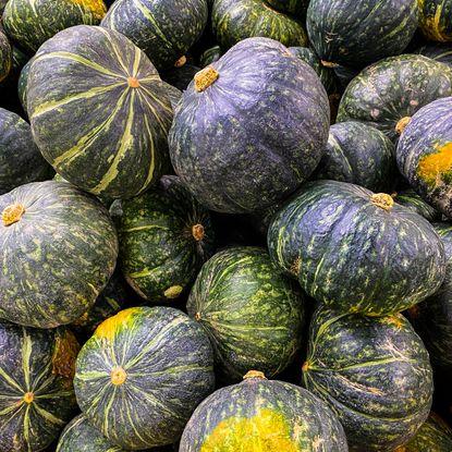 A pile of kabocha squash