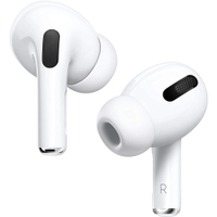 Apple AirPods Pro: $250