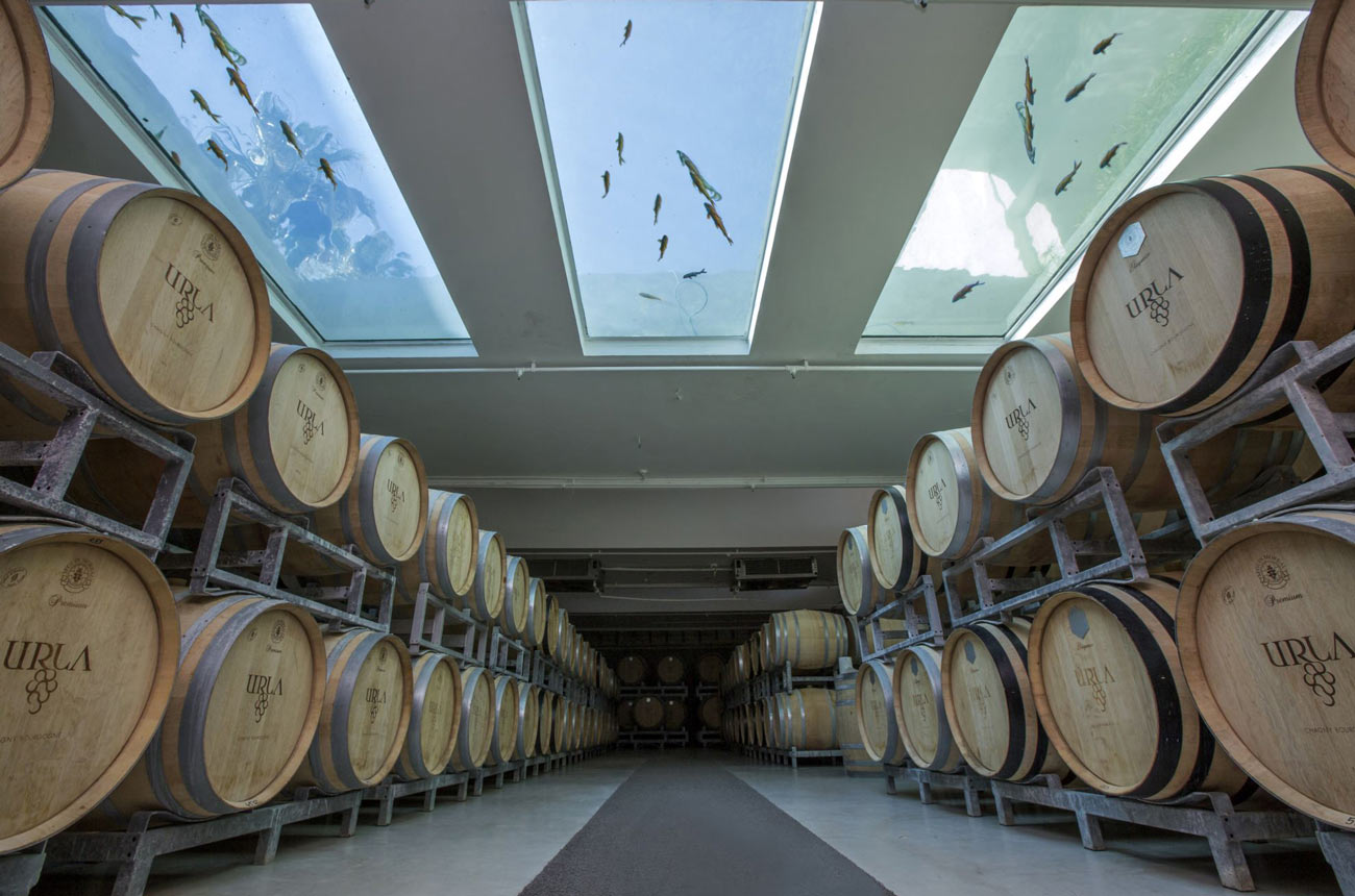 urla-winery-3.jpg