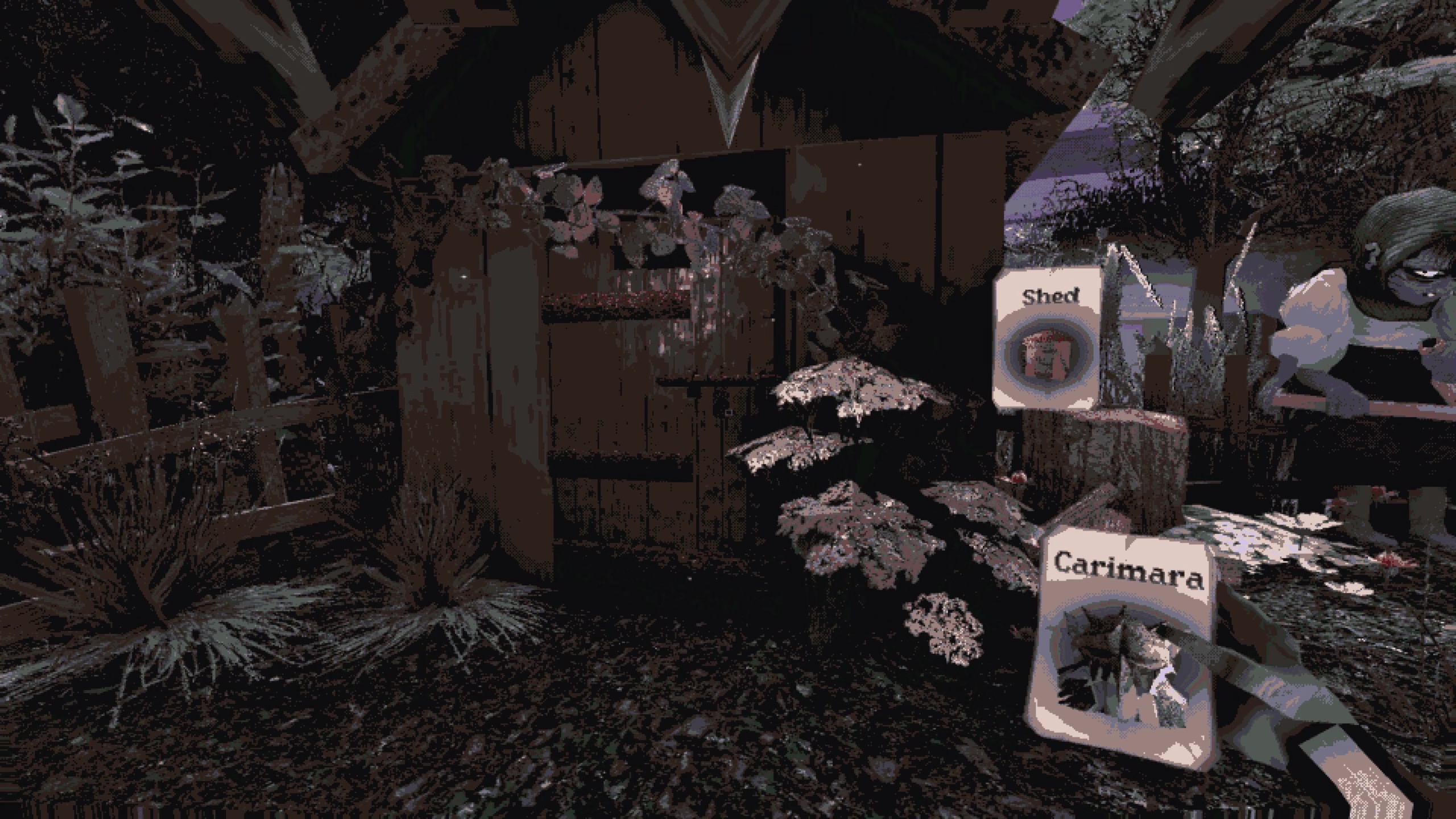 Exploring the grounds around the Old Lady&#039;s hut in Carimara: Beneath the Forlorn Limbs