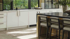 kitchen extension with island and wood floors