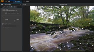Image shows an animation being applied to an image in PhotoDirector 365