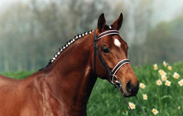 cardinar