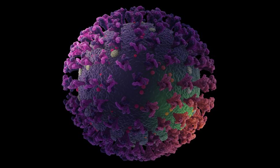 Coronavirus seems to mutate much slower than seasonal flu