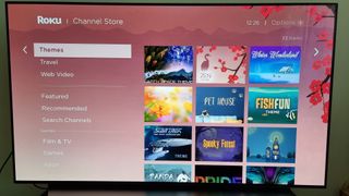 Menu displaying Roku themes in the Roku Channel Store