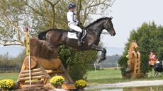 Best event horses in Britain right now: JL Dublin