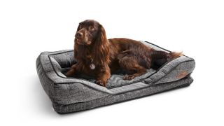 Silentnight Orthopaedic Pet Bed