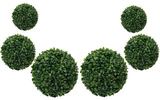 Boxwood balls