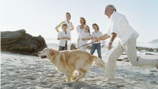 An older man running on a beach with his dog and family in the background