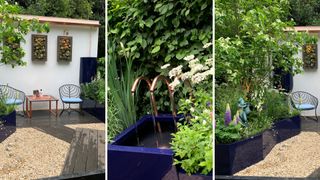 collage of The Water Saving garden as a RHS Chelsea Flower Show highlight of 2024