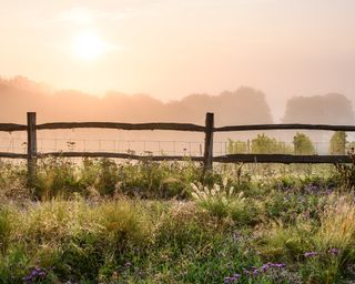 A view over a natural meadow and wooden fence with the low sun on the horizon