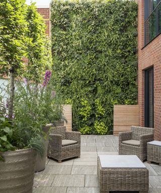 living wall on small patio