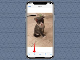 how to use visual look up in iOS 15 messages