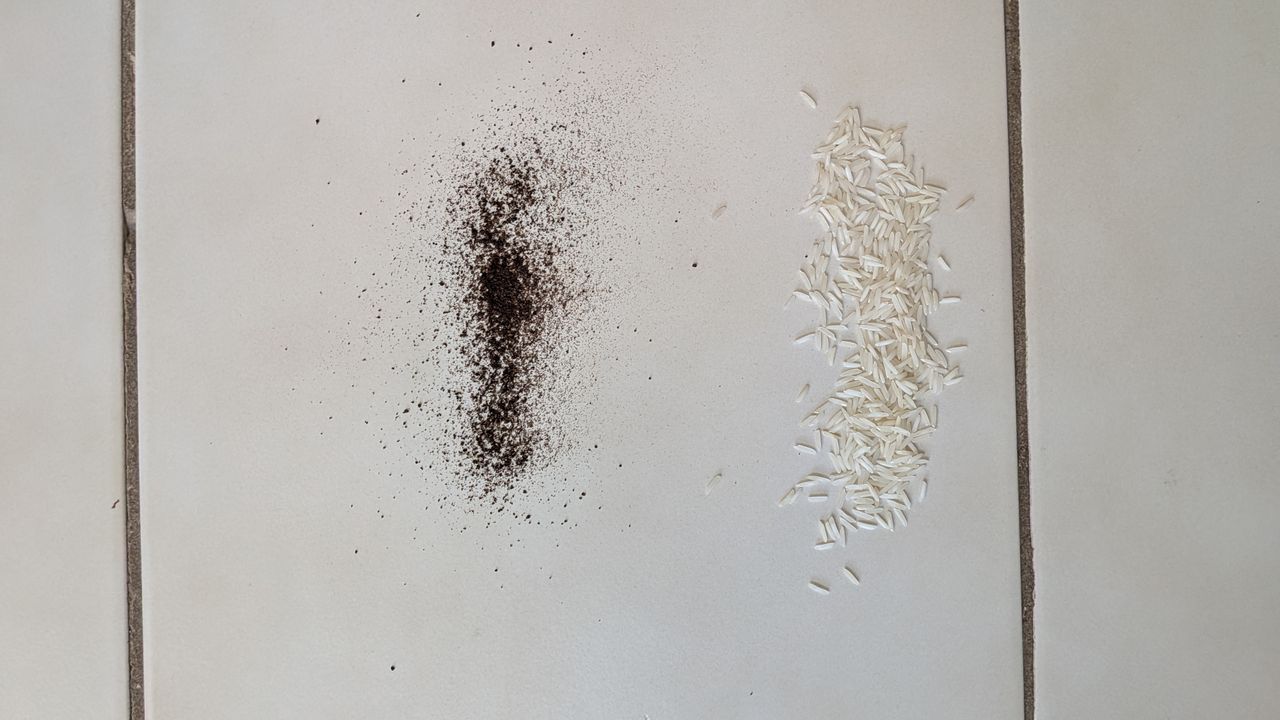 Pile of dry tea and rice on tiled floor before the vacuuming test
