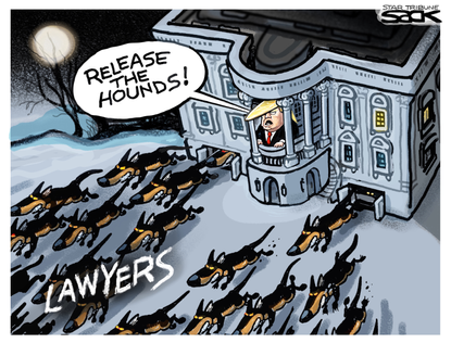 Political Cartoon U.S. Trump 2020 lawyers