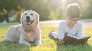 Interesting dog facts - dog lying with boy who is reading a book