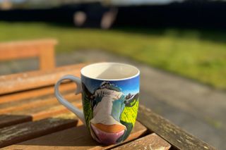 A cup of coffee pictured outside on a sunny day with a backdrop of blue sky and green fields