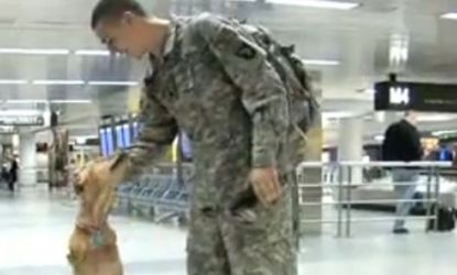 Despite having only her hind legs, Faith the dog learned to walk and is an inspiration to wounded soldiers.