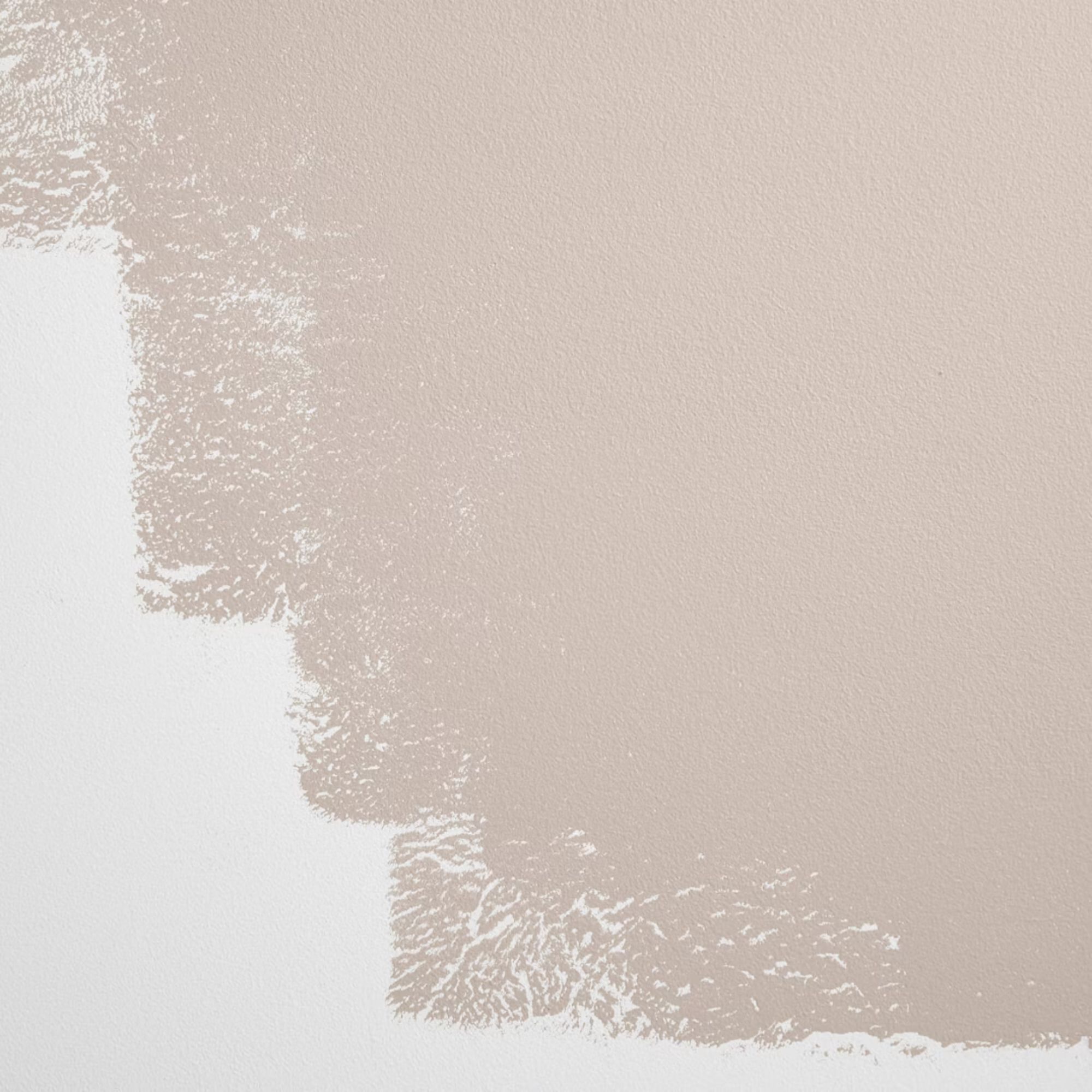 Swatch of Interior Motive by Back Drop