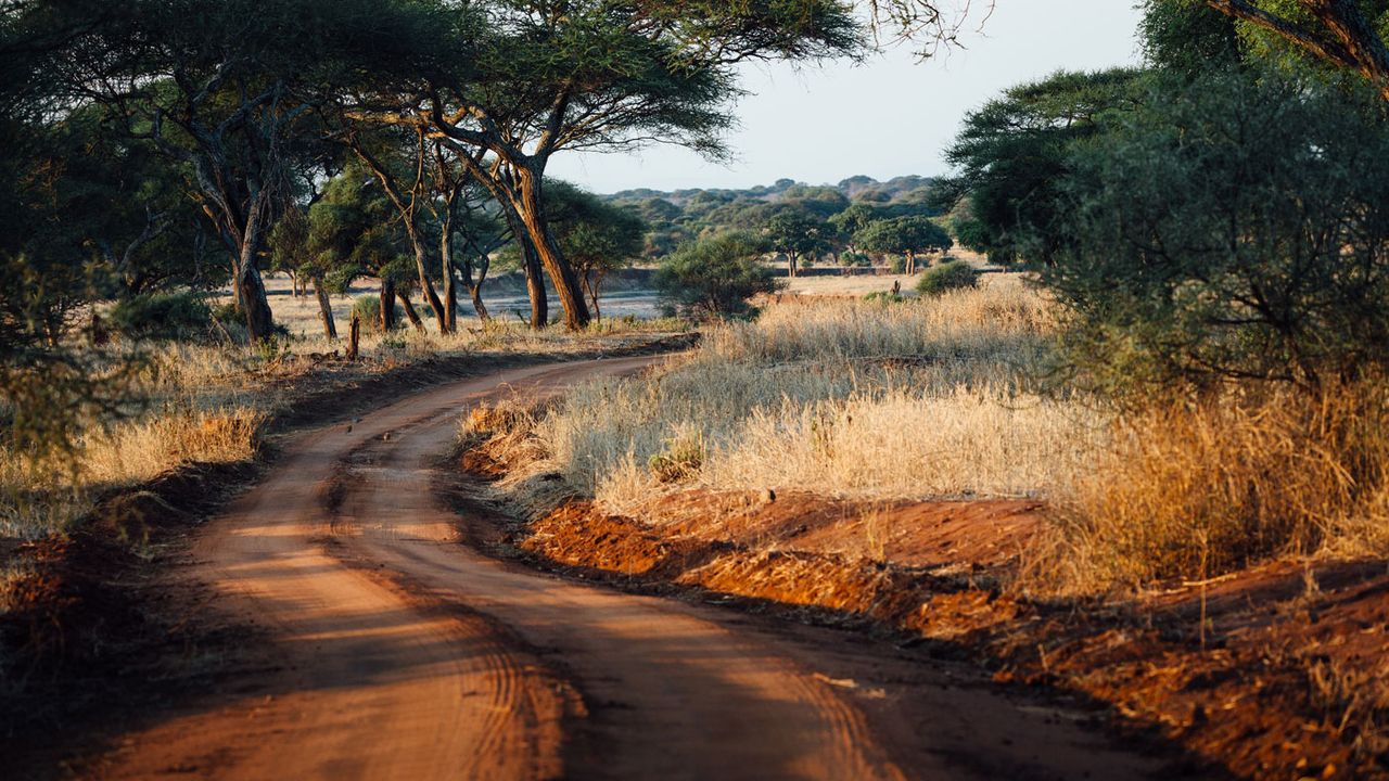 Road through Tarangire National Park