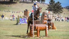 Eventing World Championship cross-country