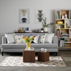 Gey living room with sofa, coffee table, artwork and bookshelves