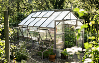 Greenhouse surrounded by trees