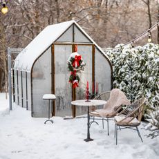 Greenhouse in a snowy December garden