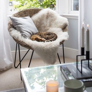 Living room chair by window with cat curled up on