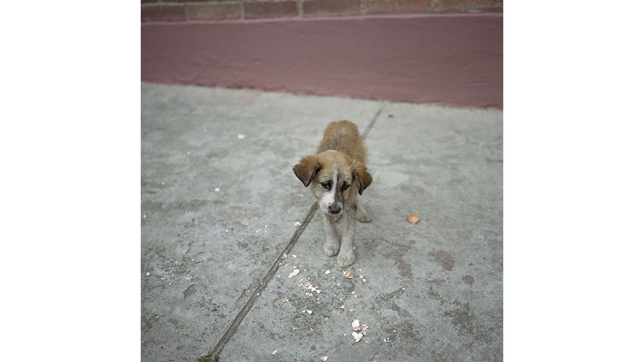 COLOMBIA. Bogota. 2003. Untitled 06.