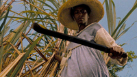   Sankofa