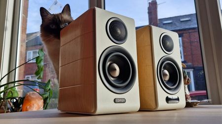 Edifier S880DB MKII active bookshelf speakers on a wooden surface in front of a window, overlooked by a beautiful long-haired cat.