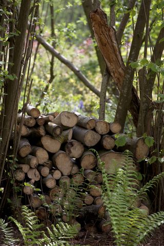 wildlife garden log pile