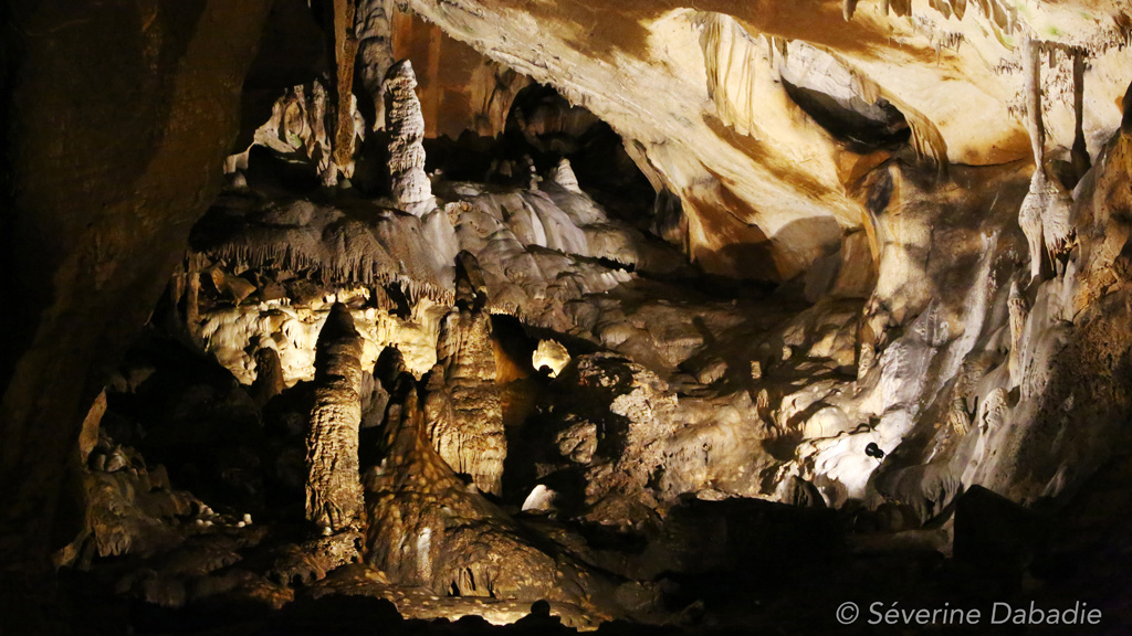 30,000-year-old bone found in French cave reveals vast genetic connections between people of Eastern and Western Europe during the Stone Age