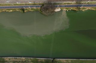 An aerial view of algae pollution at the Pinheiros River in Sao Paulo, Brazil, taken on September 9, 2024.