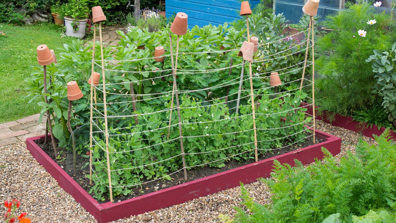 Red painted raised garden beds