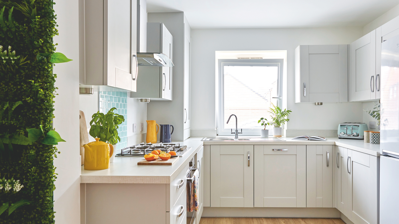 Modern white kitchen with greenery on exterior wall