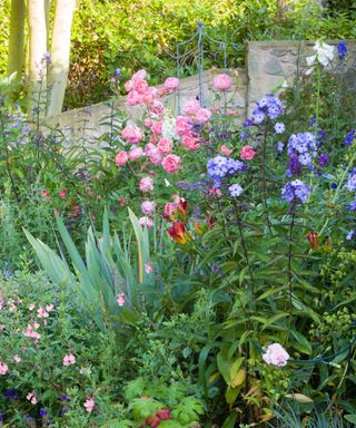 roses and perennials planted in a garden border