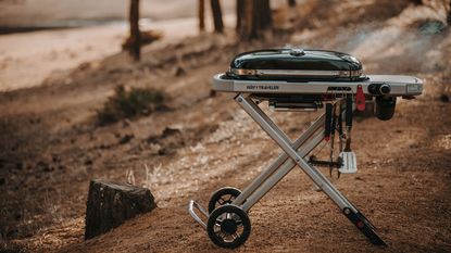 Is This the Best Portable Gas Grill? Weber Traveler Grill Review 