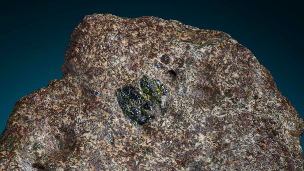 4.6 billion year old meteorite belongs to Earth’s long lost cousin