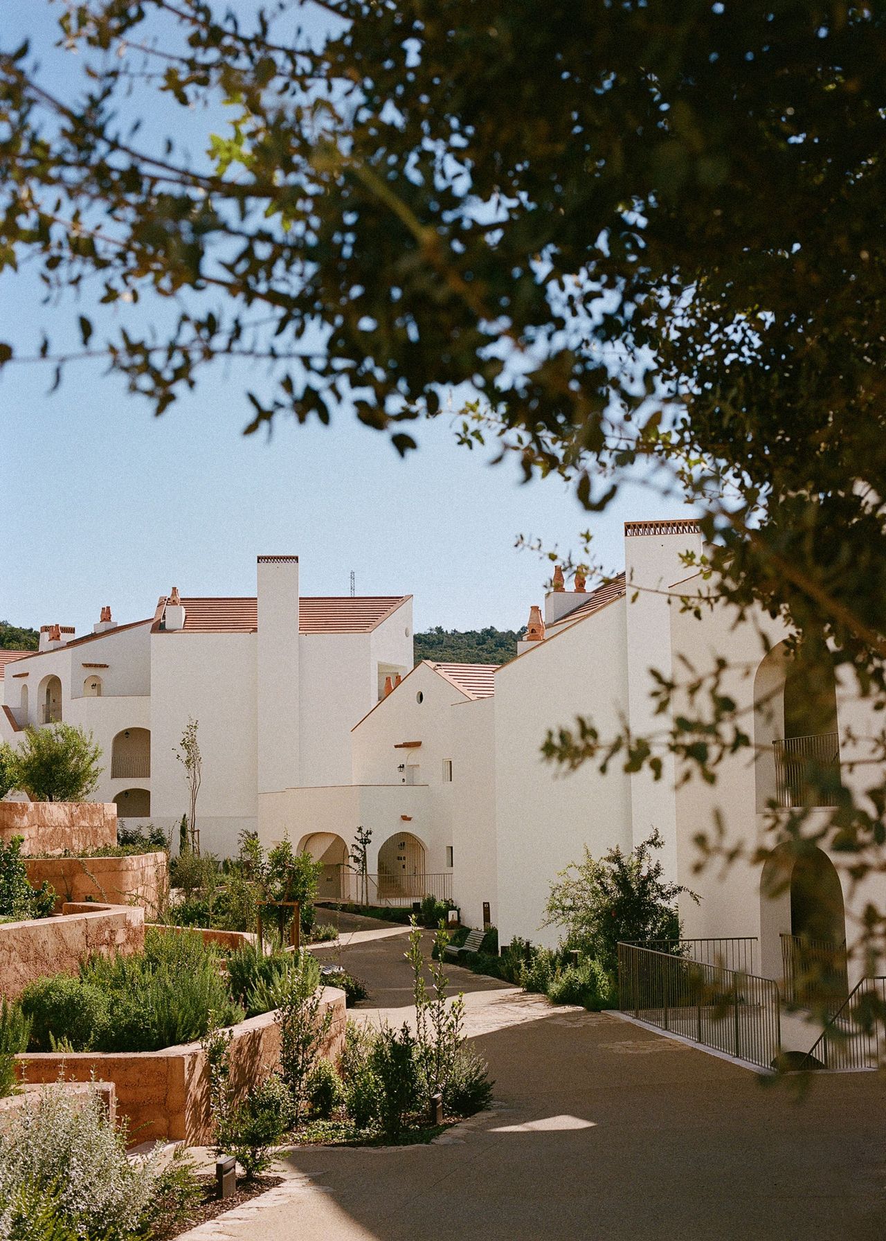An area of the Viceroy residence/hotel with a view of lots of plants scattered around