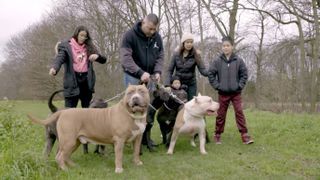 American XL Bully Family