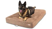 Large dog bed: A german shepherd relaxing on the Big Barker Orthopedic Dog Bed